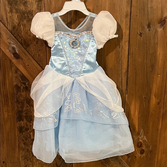 Disney Other - Cinderella Disney Costume